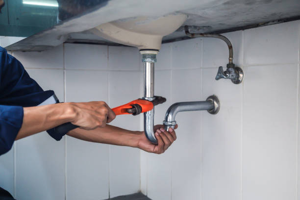 Best Plumbing Inspection Services  in Mckenzie, TN