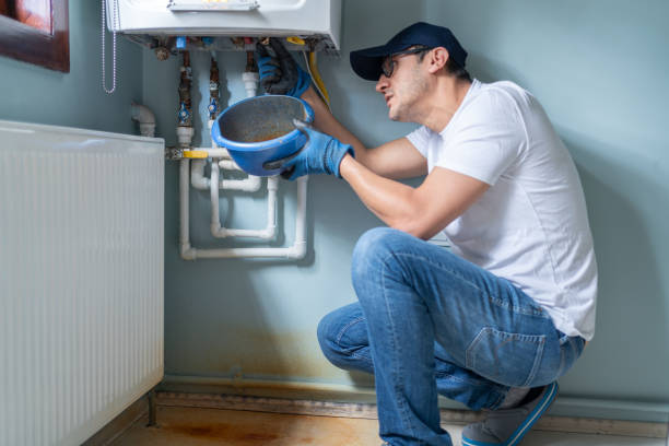 Best Local Plumber Services  in Mckenzie, TN